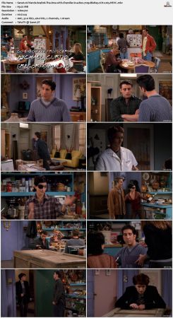 Friends S04 720p BluRay 2CH x265 HEVC-PSA