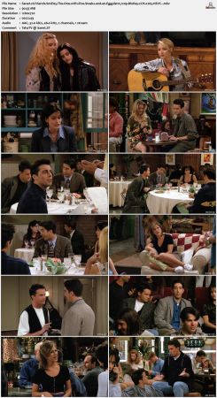 Friends S02 720p BluRay 2CH x265 HEVC-PSA
