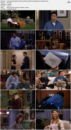 Friends S04 720p BluRay 2CH x265 HEVC-PSA