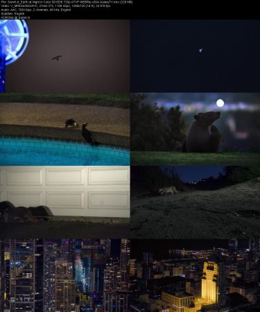 Earth at Night in Color S01 PART1 720p ATVP WEBRip x264-GalaxyTV