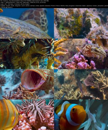 Tiny World S02 720p ATVP WEBRip x264-GalaxyTV
