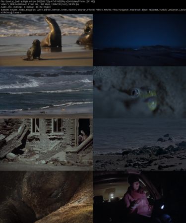 Earth at Night in Color S02 720p ATVP WEBRip x264-GalaxyTV