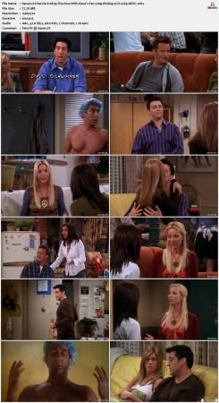 Friends S10 720p BluRay 2CH x265 HEVC-PSA
