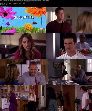 The Secret Life of the American Teenager S05 WEBRip x264-ION10