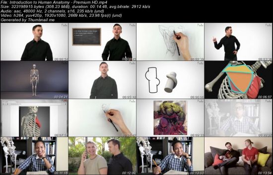Anatomy of the Human Body Course