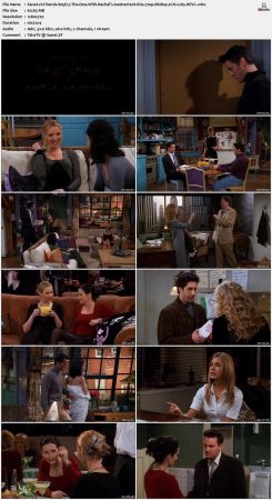 Friends S05 720p BluRay 2CH x265 HEVC-PSA