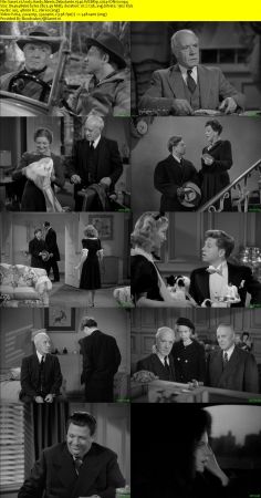 Andy Hardy Meets Debutante 1940 WEBRip x264-ION10