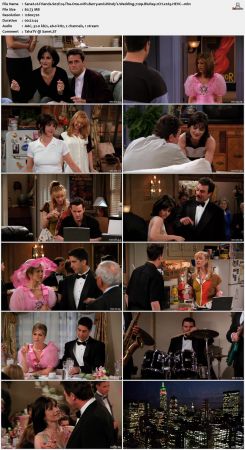 Friends S02 720p BluRay 2CH x265 HEVC-PSA