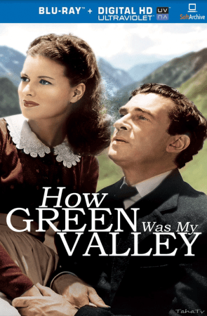How Green Was My Valley 1941 1080p BluRay x264-nikt0