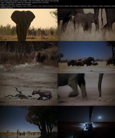 Earth at Night in Color S02 720p ATVP WEBRip x264-GalaxyTV