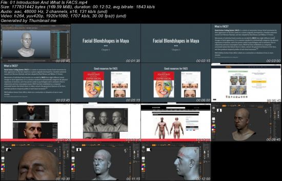 Introduction to Creating Facial Blendshapes in Maya