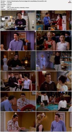 Friends S05 720p BluRay 2CH x265 HEVC-PSA