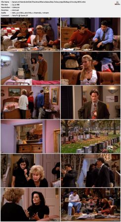 Friends S01 720p BluRay 2CH x265 HEVC-PSA