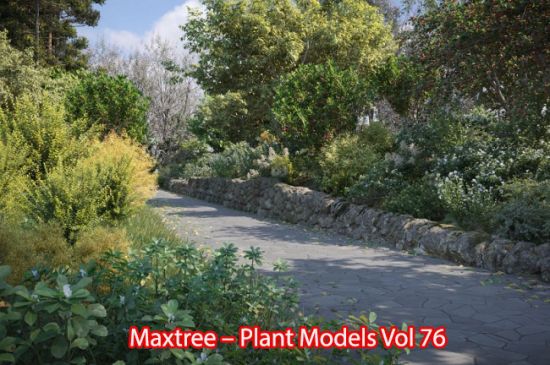 Maxtree – Plant Models Vol 76