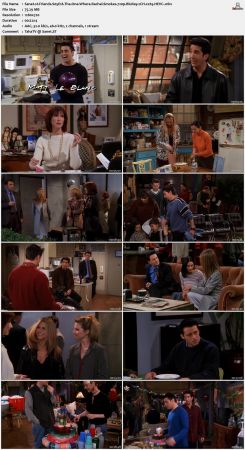 Friends S05 720p BluRay 2CH x265 HEVC-PSA