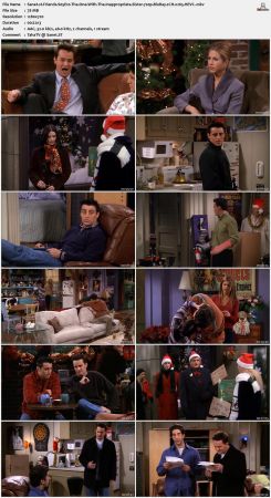 Friends S05 720p BluRay 2CH x265 HEVC-PSA