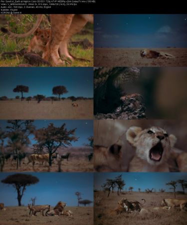 Earth at Night in Color S01 PART1 720p ATVP WEBRip x264-GalaxyTV