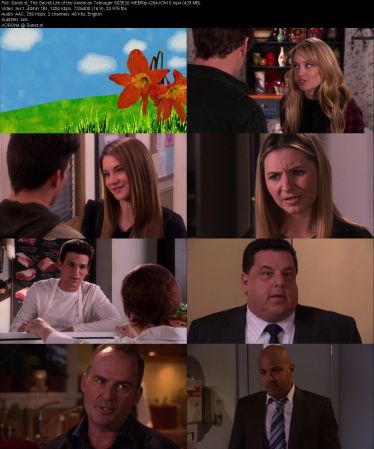 The Secret Life of the American Teenager S03 WEBRip x264-ION10