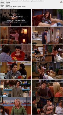 Friends S09 720p BluRay 2CH x265 HEVC-PSA