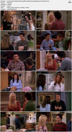 Friends S09 720p BluRay 2CH x265 HEVC-PSA