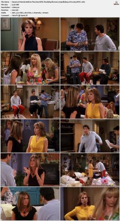 Friends S08 720p BluRay 2CH x265 HEVC-PSA