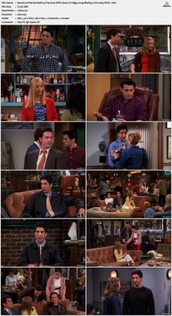 Friends S06 720p BluRay 2CH x265 HEVC-PSA