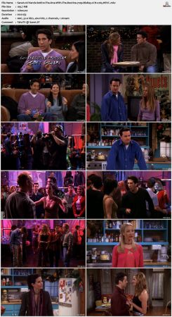 Friends S06 720p BluRay 2CH x265 HEVC-PSA