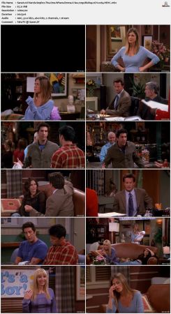 Friends S09 720p BluRay 2CH x265 HEVC-PSA