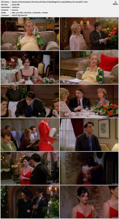 Friends S04 720p BluRay 2CH x265 HEVC-PSA