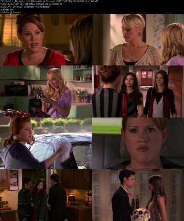 The Secret Life of the American Teenager S01 WEBRip x264-ION10