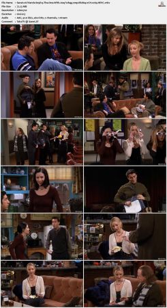 Friends S05 720p BluRay 2CH x265 HEVC-PSA