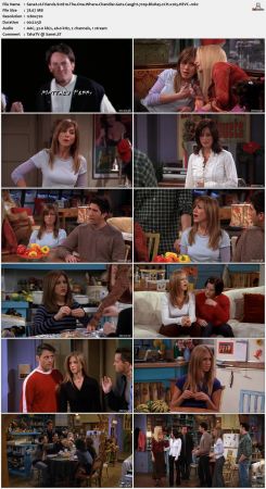 Friends S10 720p BluRay 2CH x265 HEVC-PSA