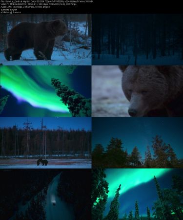 Earth at Night in Color S01 PART1 720p ATVP WEBRip x264-GalaxyTV