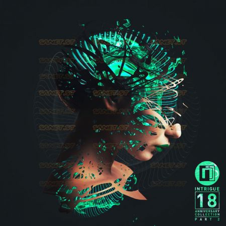 Various Artists - Intrigue 18 The Anniversary Collection Pt. 2 (2021)
