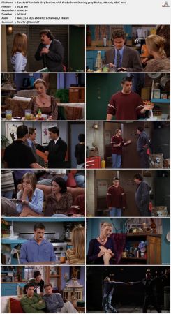 Friends S04 720p BluRay 2CH x265 HEVC-PSA