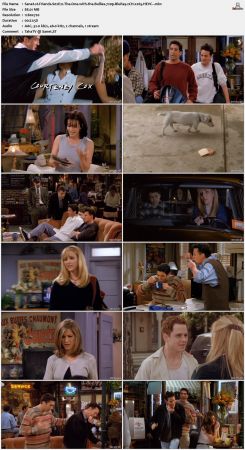 Friends S02 720p BluRay 2CH x265 HEVC-PSA