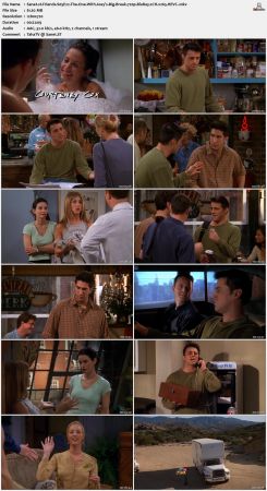 Friends S05 720p BluRay 2CH x265 HEVC-PSA