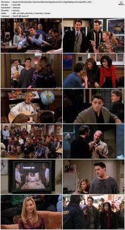 Friends S02 720p BluRay 2CH x265 HEVC-PSA