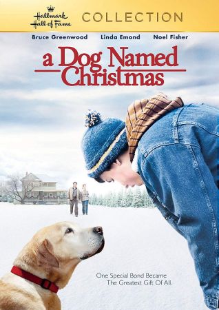 A Dog Named Christmas 2009 1080p WEBRip DDP 2.0 10bit H265-iVy