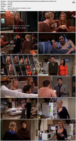 Friends S05 720p BluRay 2CH x265 HEVC-PSA