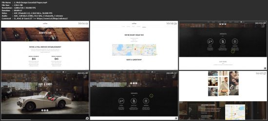 Professional Website Design + WordPress Website Development