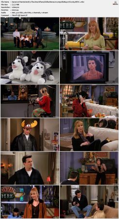 Friends S02 720p BluRay 2CH x265 HEVC-PSA