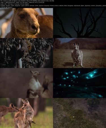 Earth at Night in Color S02 720p ATVP WEBRip x264-GalaxyTV