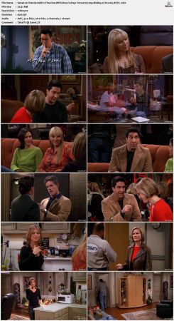 Friends S08 720p BluRay 2CH x265 HEVC-PSA