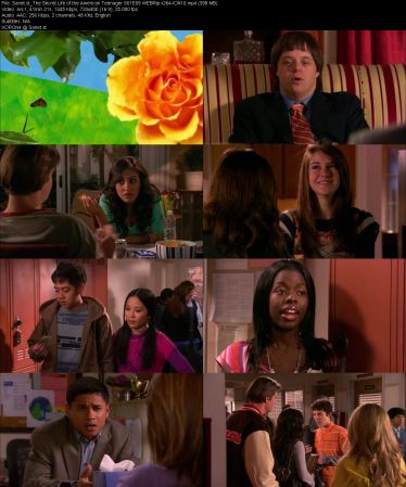 The Secret Life of the American Teenager S01 WEBRip x264-ION10