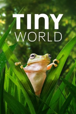 Tiny World S02 720p ATVP WEBRip x264-GalaxyTV