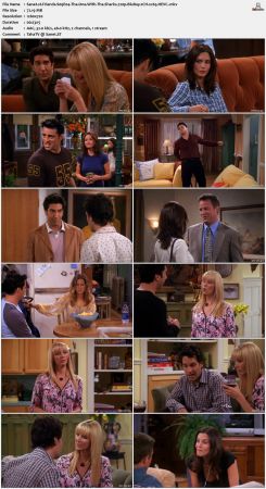 Friends S09 720p BluRay 2CH x265 HEVC-PSA