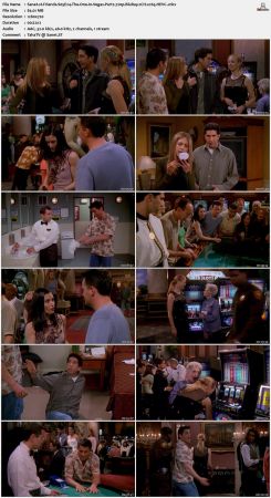 Friends S05 720p BluRay 2CH x265 HEVC-PSA
