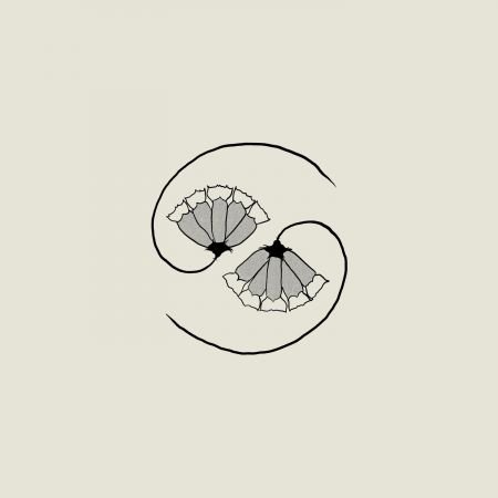 Godspeed You! Black Emperor - G_d’s Pee AT STATE’S END! (2021) [CD-Rip]