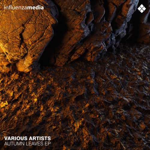 VA - Autumn Leaves EP (2021)